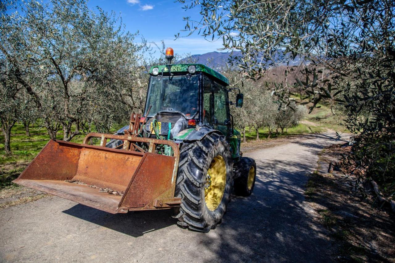 Locanda Agricola Posapiano Villa Montecarlo Exterior photo